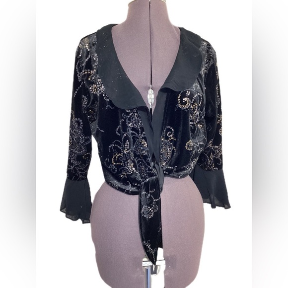 Vtg Velvet Glitter Tie Front Whimsigoth Cardigan L Sheer Trim Y2K Dark Fairy - Picture 2 of 11